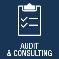 audit & consulting